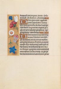 スペイン女王イザベラ女王の時間：フォル。 225v、c。 1500。 作： Master of the First Prayerbook of Maximillian