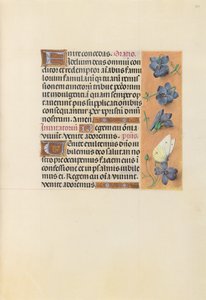 女王イザベラカトリック、スペイン女王の時間：フォル。 226r、c。 1500。 作： Master of the First Prayerbook of Maximillian