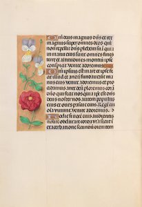スペイン女王イザベラ女王の時間：フォル。 226v、c。 1500。 作： Master of the First Prayerbook of Maximillian