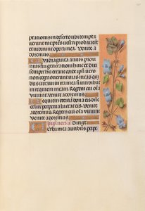 スペイン女王イザベラ女王の時間：フォル。 227r、c。 1500。 作： Master of the First Prayerbook of Maximillian