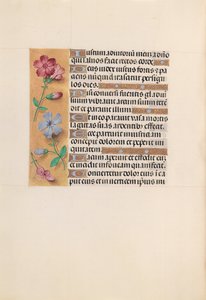 女王イザベラカトリック、スペイン女王の時間：フォル。 230v、c。 1500。 作： Master of the First Prayerbook of Maximillian