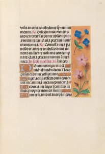 スペイン女王イザベラの時間：  フォル233r 作： Master of the First Prayerbook of Maximillian