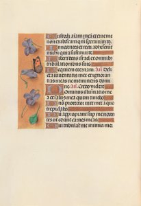女王イザベラカトリック、スペイン女王の時間：フォル。 235v、c。 1500。 作： Master of the First Prayerbook of Maximillian