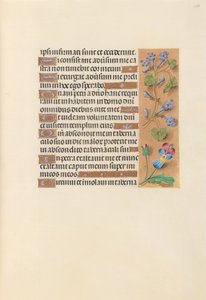 女王イザベラカトリック、スペイン女王の時間：フォル。 236r、c。 1500。 作： Master of the First Prayerbook of Maximillian