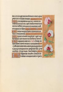 女王イザベラカトリック、スペイン女王の時間：フォル。 237r、c。 1500。 作： Master of the First Prayerbook of Maximillian