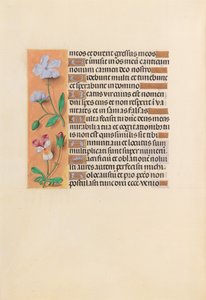 女王イザベラカトリック、スペイン女王の時間：フォル。 239v、c。 1500。 作： Master of the First Prayerbook of Maximillian