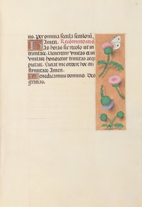 女王イザベラカトリック、スペイン女王の時間：フォル。 23r、c。 1500。 作： Master of the First Prayerbook of Maximillian