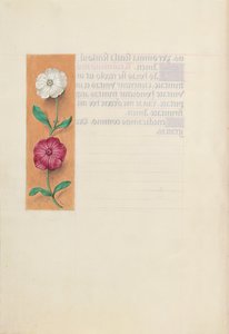 女王イザベラカトリック、スペイン女王の時間：フォル。 23v、c。 1500。 作： Master of the First Prayerbook of Maximillian