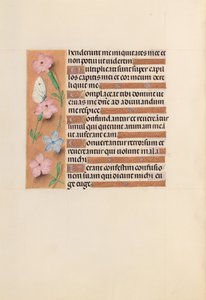女王イザベラカトリック、スペイン女王の時間：フォル。 240v、c。 1500。 作： Master of the First Prayerbook of Maximillian