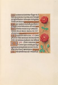女王イザベラカトリック、スペイン女王の時間：フォル。 241r、c。 1500。 作： Master of the First Prayerbook of Maximillian