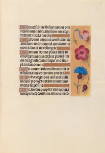 女王イザベラカトリック、スペイン女王の時間：フォル。 242r、c。 1500。 作： Master of the First Prayerbook of Maximillian