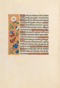 スペイン女王イザベラ女王の時間：フォル。 243v、c。 1500。 作： Master of the First Prayerbook of Maximillian