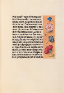 スペイン女王イザベラ女王の時間：フォル。 245r、c。 1500。 作： Master of the First Prayerbook of Maximillian