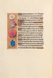 スペイン女王イザベラ女王の時間：フォル。 249v、c。 1500。 作： Master of the First Prayerbook of Maximillian