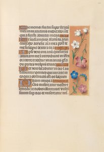 女王イザベラカトリック、スペイン女王の時間：フォル。 250r、c。 1500。 作： Master of the First Prayerbook of Maximillian