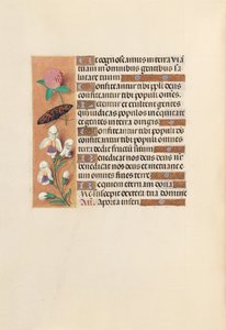 スペイン女王イザベラ女王の時間：フォル。 250v、c。 1500。 作： Master of the First Prayerbook of Maximillian