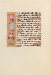 女王イザベラカトリック、スペイン女王の時間：フォル。 251v、c。 1500。 作： Master of the First Prayerbook of Maximillian