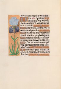 女王イザベラカトリック、スペイン女王の時間：フォル。 254v、c。 1500。 作： Master of the First Prayerbook of Maximillian