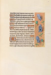 スペイン女王イザベラ女王の時間：フォル。 256r、c。 1500。 作： Master of the First Prayerbook of Maximillian
