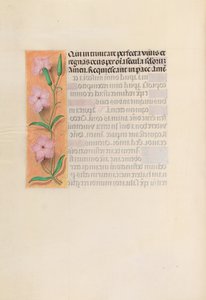 女王イザベラカトリック、スペイン女王の時間：フォル。 256v、ヴァージンアンドチャイルド、c。 1500。 作： Master of the First Prayerbook of Maximillian