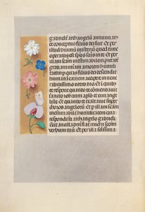 スペイン女王イザベラ女王の時間：フォル。 258v、c。 1500。 作： Master of the First Prayerbook of Maximillian