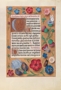 女王イザベラカトリック、スペイン女王の時間：フォル。 25r、c。 1500。 作： Master of the First Prayerbook of Maximillian