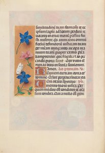 女王イザベラカトリック、スペイン女王の時間：フォル。 25v、c。 1500。 作： Master of the First Prayerbook of Maximillian