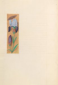 女王イザベラカトリック、スペイン女王の時間：フォル。 277v、c。 1500。 作： Master of the First Prayerbook of Maximillian