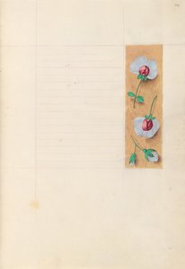 スペイン女王イザベラ女王の時間：フォル。 279r、c。 1500。 作： Master of the First Prayerbook of Maximillian