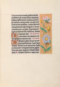 女王イザベラカトリック、スペイン女王の時間：フォル。 27r、c。 1500。 作： Master of the First Prayerbook of Maximillian