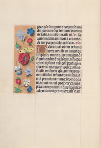 スペイン女王イザベラ女王の時間：フォル。 29v、c。 1500。 作： Master of the First Prayerbook of Maximillian