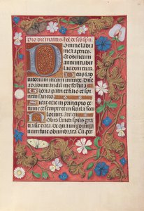 女王イザベラカトリック、スペイン女王の時間：フォル。 32r、c。 1500。 作： Master of the First Prayerbook of Maximillian