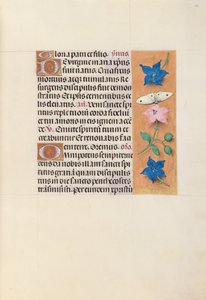 女王イザベラカトリック、スペイン女王の時間：フォル。 33r、c。 1500。 作： Master of the First Prayerbook of Maximillian