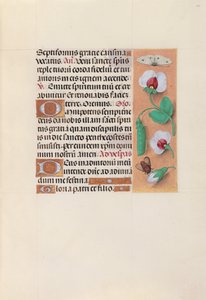 女王イザベラカトリック、スペイン女王の時間：フォル。 35r、c。 1500。 作： Master of the First Prayerbook of Maximillian