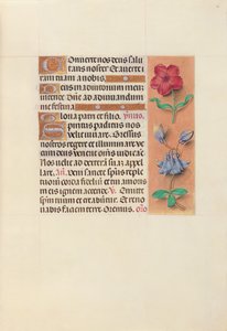 女王イザベラカトリック、スペイン女王の時間：フォル。 36r、c。 1500。 作： Master of the First Prayerbook of Maximillian