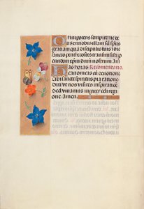 女王イザベラカトリック、スペイン女王の時間：フォル。 36v、c。 1500。 作： Master of the First Prayerbook of Maximillian