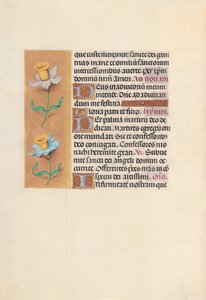 女王イザベラカトリック、スペイン女王の時間：フォル。 40v、c。 1500。 作： Master of the First Prayerbook of Maximillian
