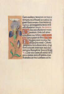 スペイン女王イザベラ女王の時間：フォル。 45v、c。 1500。 作： Master of the First Prayerbook of Maximillian