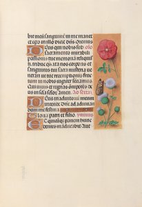 女王イザベラカトリック、スペイン女王の時間：フォル。 46r、c。 1500。 作： Master of the First Prayerbook of Maximillian