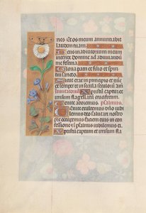 女王イザベラカトリック、スペイン女王の時間：フォル。 50v、c。 1500。 作： Master of the First Prayerbook of Maximillian