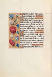 スペインの女王、カトリックのイザベラ女王の時間：Fol。 51v、c。 1500。 作： Master of the First Prayerbook of Maximillian