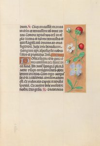 女王イザベラカトリック、スペイン女王の時間：フォル。 55r、c。 1500。 作： Master of the First Prayerbook of Maximillian