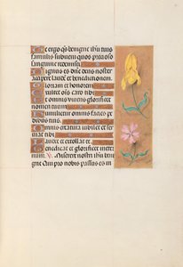 女王イザベラカトリック、スペイン女王の時間：フォル。 56r、c。 1500。 作： Master of the First Prayerbook of Maximillian
