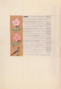 スペイン女王イザベラの時間：  フォル56v 作： Master of the First Prayerbook of Maximillian