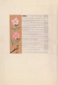 女王イザベラカトリック、スペイン女王の時間：フォル。 56v、c。 1500。 作： Master of the First Prayerbook of Maximillian