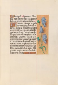 女王イザベラカトリック、スペイン女王の時間：フォル。 60r、c。 1500。 作： Master of the First Prayerbook of Maximillian