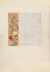 スペイン女王イザベラ女王の時間：フォル。 60v、c。 1500。 作： Master of the First Prayerbook of Maximillian