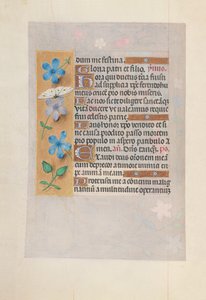 女王イザベラカトリック、スペイン女王の時間：フォル。 63v、c。 1500。 作： Master of the First Prayerbook of Maximillian