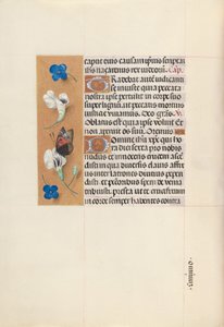 スペイン女王イザベラの時間：  フォル67v 作： Master of the First Prayerbook of Maximillian