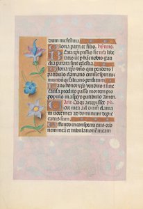 スペイン女王イザベラ女王の時間：フォル。 69v、c。 1500。 作： Master of the First Prayerbook of Maximillian